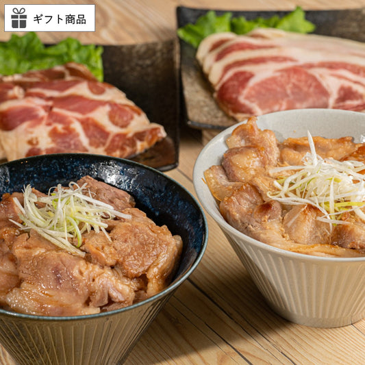 【ギフト】ソラチ共同開発 炭火風豚丼の具ギフト